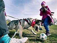 Adoptuj Warszawiaka  17 marca 2019 r. Warszawa - Park Moczydło. : adoptuj warszawiaka, kundelek, schronisko na paluchu, bezdomne zwierzęta, wybierz kundelka, wybieram kundelka.