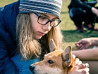 Adoptuj Warszawiaka  17 marca 2019 r. Warszawa - Park Moczydło. : adoptuj warszawiaka, kundelek, schronisko na paluchu, bezdomne zwierzęta, wybierz kundelka, wybieram kundelka.