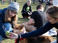 Adoptuj Warszawiaka  17 marca 2019 r. Warszawa - Park Moczydło. : adoptuj warszawiaka, kundelek, schronisko na paluchu, bezdomne zwierzęta, wybierz kundelka, wybieram kundelka.
