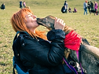 Adoptuj Warszawiaka  17 marca 2019 r. Warszawa - Park Moczydło. : adoptuj warszawiaka, kundelek, schronisko na paluchu, bezdomne zwierzęta, wybierz kundelka, wybieram kundelka.