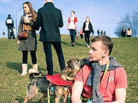 Adoptuj Warszawiaka  17 marca 2019 r. Warszawa - Park Moczydło. : adoptuj warszawiaka, kundelek, schronisko na paluchu, bezdomne zwierzęta, wybierz kundelka, wybieram kundelka.