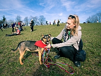 Adoptuj Warszawiaka  17 marca 2019 r. Warszawa - Park Moczydło. : adoptuj warszawiaka, kundelek, schronisko na paluchu, bezdomne zwierzęta, wybierz kundelka, wybieram kundelka.