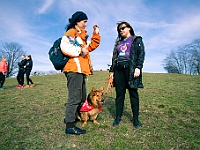 Adoptuj Warszawiaka  17 marca 2019 r. Warszawa - Park Moczydło. : adoptuj warszawiaka, kundelek, schronisko na paluchu, bezdomne zwierzęta, wybierz kundelka, wybieram kundelka.