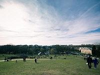 Adoptuj Warszawiaka  17 marca 2019 r. Warszawa - Park Moczydło. : adoptuj warszawiaka, kundelek, schronisko na paluchu, bezdomne zwierzęta, wybierz kundelka, wybieram kundelka.