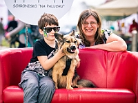 Warszawski Dzień Zwierząt 2019  Warszawa, 18 maja 2019 r. Multimedialny Park Fontann. Organizator - Schronisko dla Bezdomnych Zwierząt "Na Paluchu" : warszawski dzień zwierząt, park fontann, schronisko na paluchu