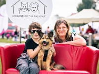 Warszawski Dzień Zwierząt 2019  Warszawa, 18 maja 2019 r. Multimedialny Park Fontann. Organizator - Schronisko dla Bezdomnych Zwierząt "Na Paluchu" : warszawski dzień zwierząt, park fontann, schronisko na paluchu