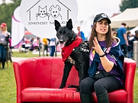 Warszawski Dzień Zwierząt 2019  Warszawa, 18 maja 2019 r. Multimedialny Park Fontann. Organizator - Schronisko dla Bezdomnych Zwierząt "Na Paluchu" : warszawski dzień zwierząt, park fontann, schronisko na paluchu