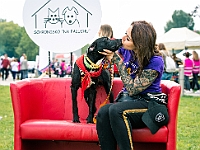 Warszawski Dzień Zwierząt 2019  Warszawa, 18 maja 2019 r. Multimedialny Park Fontann. Organizator - Schronisko dla Bezdomnych Zwierząt "Na Paluchu" : warszawski dzień zwierząt, park fontann, schronisko na paluchu