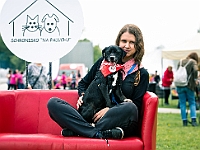 Warszawski Dzień Zwierząt 2019  Warszawa, 18 maja 2019 r. Multimedialny Park Fontann. Organizator - Schronisko dla Bezdomnych Zwierząt "Na Paluchu" : warszawski dzień zwierząt, park fontann, schronisko na paluchu