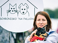 Warszawski Dzień Zwierząt 2019  Warszawa, 18 maja 2019 r. Multimedialny Park Fontann. Organizator - Schronisko dla Bezdomnych Zwierząt "Na Paluchu" : warszawski dzień zwierząt, park fontann, schronisko na paluchu