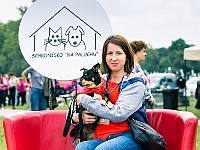 Warszawski Dzień Zwierząt 2019  Warszawa, 18 maja 2019 r. Multimedialny Park Fontann. Organizator - Schronisko dla Bezdomnych Zwierząt "Na Paluchu" : warszawski dzień zwierząt, park fontann, schronisko na paluchu
