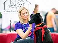 Warszawski Dzień Zwierząt 2019  Warszawa, 18 maja 2019 r. Multimedialny Park Fontann. Organizator - Schronisko dla Bezdomnych Zwierząt "Na Paluchu" : warszawski dzień zwierząt, park fontann, schronisko na paluchu