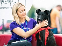 Warszawski Dzień Zwierząt 2019  Warszawa, 18 maja 2019 r. Multimedialny Park Fontann. Organizator - Schronisko dla Bezdomnych Zwierząt "Na Paluchu" : warszawski dzień zwierząt, park fontann, schronisko na paluchu