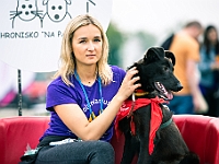 Warszawski Dzień Zwierząt 2019  Warszawa, 18 maja 2019 r. Multimedialny Park Fontann. Organizator - Schronisko dla Bezdomnych Zwierząt "Na Paluchu" : warszawski dzień zwierząt, park fontann, schronisko na paluchu