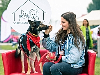 Warszawski Dzień Zwierząt 2019  Warszawa, 18 maja 2019 r. Multimedialny Park Fontann. Organizator - Schronisko dla Bezdomnych Zwierząt "Na Paluchu" : warszawski dzień zwierząt, park fontann, schronisko na paluchu
