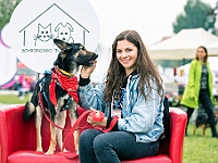 Warszawski Dzień Zwierząt 2019  Warszawa, 18 maja 2019 r. Multimedialny Park Fontann. Organizator - Schronisko dla Bezdomnych Zwierząt "Na Paluchu" : warszawski dzień zwierząt, park fontann, schronisko na paluchu