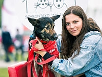 Warszawski Dzień Zwierząt 2019  Warszawa, 18 maja 2019 r. Multimedialny Park Fontann. Organizator - Schronisko dla Bezdomnych Zwierząt "Na Paluchu" : warszawski dzień zwierząt, park fontann, schronisko na paluchu