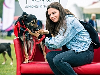 Warszawski Dzień Zwierząt 2019  Warszawa, 18 maja 2019 r. Multimedialny Park Fontann. Organizator - Schronisko dla Bezdomnych Zwierząt "Na Paluchu" : warszawski dzień zwierząt, park fontann, schronisko na paluchu