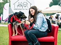 Warszawski Dzień Zwierząt 2019  Warszawa, 18 maja 2019 r. Multimedialny Park Fontann. Organizator - Schronisko dla Bezdomnych Zwierząt "Na Paluchu" : warszawski dzień zwierząt, park fontann, schronisko na paluchu