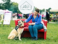 Warszawski Dzień Zwierząt 2019  Warszawa, 18 maja 2019 r. Multimedialny Park Fontann. Organizator - Schronisko dla Bezdomnych Zwierząt "Na Paluchu" : warszawski dzień zwierząt, park fontann, schronisko na paluchu