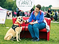 Warszawski Dzień Zwierząt 2019  Warszawa, 18 maja 2019 r. Multimedialny Park Fontann. Organizator - Schronisko dla Bezdomnych Zwierząt "Na Paluchu" : warszawski dzień zwierząt, park fontann, schronisko na paluchu