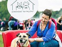 Warszawski Dzień Zwierząt 2019  Warszawa, 18 maja 2019 r. Multimedialny Park Fontann. Organizator - Schronisko dla Bezdomnych Zwierząt "Na Paluchu" : warszawski dzień zwierząt, park fontann, schronisko na paluchu