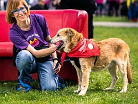 Warszawski Dzień Zwierząt 2019  Warszawa, 18 maja 2019 r. Multimedialny Park Fontann. Organizator - Schronisko dla Bezdomnych Zwierząt "Na Paluchu" : warszawski dzień zwierząt, park fontann, schronisko na paluchu