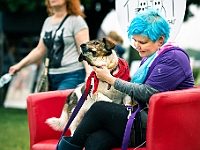 Warszawski Dzień Zwierząt 2019  Warszawa, 18 maja 2019 r. Multimedialny Park Fontann. Organizator - Schronisko dla Bezdomnych Zwierząt "Na Paluchu" : warszawski dzień zwierząt, park fontann, schronisko na paluchu