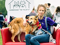 Warszawski Dzień Zwierząt 2019  Warszawa, 18 maja 2019 r. Multimedialny Park Fontann. Organizator - Schronisko dla Bezdomnych Zwierząt "Na Paluchu" : warszawski dzień zwierząt, park fontann, schronisko na paluchu