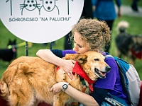 Warszawski Dzień Zwierząt 2019  Warszawa, 18 maja 2019 r. Multimedialny Park Fontann. Organizator - Schronisko dla Bezdomnych Zwierząt "Na Paluchu" : warszawski dzień zwierząt, park fontann, schronisko na paluchu
