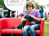 Warszawski Dzień Zwierząt 2019  Warszawa, 18 maja 2019 r. Multimedialny Park Fontann. Organizator - Schronisko dla Bezdomnych Zwierząt "Na Paluchu" : warszawski dzień zwierząt, park fontann, schronisko na paluchu