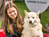 Warszawski Dzień Zwierząt 2019  Warszawa, 18 maja 2019 r. Multimedialny Park Fontann. Organizator - Schronisko dla Bezdomnych Zwierząt "Na Paluchu" : warszawski dzień zwierząt, park fontann, schronisko na paluchu