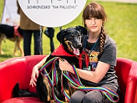 Warszawski Dzień Zwierząt 2019  Warszawa, 18 maja 2019 r. Multimedialny Park Fontann. Organizator - Schronisko dla Bezdomnych Zwierząt "Na Paluchu" : warszawski dzień zwierząt, park fontann, schronisko na paluchu