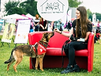 Warszawski Dzień Zwierząt 2019  Warszawa, 18 maja 2019 r. Multimedialny Park Fontann. Organizator - Schronisko dla Bezdomnych Zwierząt "Na Paluchu" : warszawski dzień zwierząt, park fontann, schronisko na paluchu