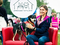 Warszawski Dzień Zwierząt 2019  Warszawa, 18 maja 2019 r. Multimedialny Park Fontann. Organizator - Schronisko dla Bezdomnych Zwierząt "Na Paluchu" : warszawski dzień zwierząt, park fontann, schronisko na paluchu