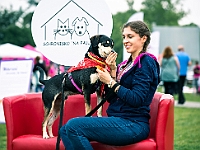 Warszawski Dzień Zwierząt 2019  Warszawa, 18 maja 2019 r. Multimedialny Park Fontann. Organizator - Schronisko dla Bezdomnych Zwierząt "Na Paluchu" : warszawski dzień zwierząt, park fontann, schronisko na paluchu