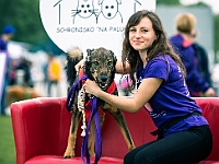 Warszawski Dzień Zwierząt 2019  Warszawa, 18 maja 2019 r. Multimedialny Park Fontann. Organizator - Schronisko dla Bezdomnych Zwierząt "Na Paluchu" : warszawski dzień zwierząt, park fontann, schronisko na paluchu