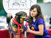 Warszawski Dzień Zwierząt 2019  Warszawa, 18 maja 2019 r. Multimedialny Park Fontann. Organizator - Schronisko dla Bezdomnych Zwierząt "Na Paluchu" : warszawski dzień zwierząt, park fontann, schronisko na paluchu