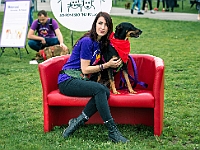 Warszawski Dzień Zwierząt 2019  Warszawa, 18 maja 2019 r. Multimedialny Park Fontann. Organizator - Schronisko dla Bezdomnych Zwierząt "Na Paluchu" : warszawski dzień zwierząt, park fontann, schronisko na paluchu