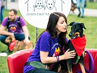 Warszawski Dzień Zwierząt 2019  Warszawa, 18 maja 2019 r. Multimedialny Park Fontann. Organizator - Schronisko dla Bezdomnych Zwierząt "Na Paluchu" : warszawski dzień zwierząt, park fontann, schronisko na paluchu