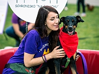 Warszawski Dzień Zwierząt 2019  Warszawa, 18 maja 2019 r. Multimedialny Park Fontann. Organizator - Schronisko dla Bezdomnych Zwierząt "Na Paluchu" : warszawski dzień zwierząt, park fontann, schronisko na paluchu