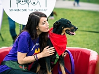 Warszawski Dzień Zwierząt 2019  Warszawa, 18 maja 2019 r. Multimedialny Park Fontann. Organizator - Schronisko dla Bezdomnych Zwierząt "Na Paluchu" : warszawski dzień zwierząt, park fontann, schronisko na paluchu