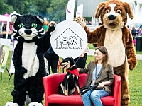 Warszawski Dzień Zwierząt 2019  Warszawa, 18 maja 2019 r. Multimedialny Park Fontann. Organizator - Schronisko dla Bezdomnych Zwierząt "Na Paluchu" : warszawski dzień zwierząt, park fontann, schronisko na paluchu