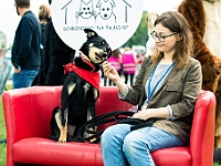 Warszawski Dzień Zwierząt 2019  Warszawa, 18 maja 2019 r. Multimedialny Park Fontann. Organizator - Schronisko dla Bezdomnych Zwierząt "Na Paluchu" : warszawski dzień zwierząt, park fontann, schronisko na paluchu