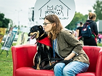 Warszawski Dzień Zwierząt 2019  Warszawa, 18 maja 2019 r. Multimedialny Park Fontann. Organizator - Schronisko dla Bezdomnych Zwierząt "Na Paluchu" : warszawski dzień zwierząt, park fontann, schronisko na paluchu