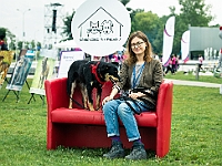 Warszawski Dzień Zwierząt 2019  Warszawa, 18 maja 2019 r. Multimedialny Park Fontann. Organizator - Schronisko dla Bezdomnych Zwierząt "Na Paluchu" : warszawski dzień zwierząt, park fontann, schronisko na paluchu