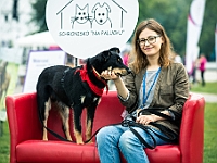 Warszawski Dzień Zwierząt 2019  Warszawa, 18 maja 2019 r. Multimedialny Park Fontann. Organizator - Schronisko dla Bezdomnych Zwierząt "Na Paluchu" : warszawski dzień zwierząt, park fontann, schronisko na paluchu
