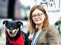 Warszawski Dzień Zwierząt 2019  Warszawa, 18 maja 2019 r. Multimedialny Park Fontann. Organizator - Schronisko dla Bezdomnych Zwierząt "Na Paluchu" : warszawski dzień zwierząt, park fontann, schronisko na paluchu