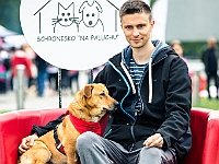 Warszawski Dzień Zwierząt 2019  Warszawa, 18 maja 2019 r. Multimedialny Park Fontann. Organizator - Schronisko dla Bezdomnych Zwierząt "Na Paluchu" : warszawski dzień zwierząt, park fontann, schronisko na paluchu
