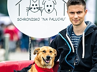 Warszawski Dzień Zwierząt 2019  Warszawa, 18 maja 2019 r. Multimedialny Park Fontann. Organizator - Schronisko dla Bezdomnych Zwierząt "Na Paluchu" : warszawski dzień zwierząt, park fontann, schronisko na paluchu